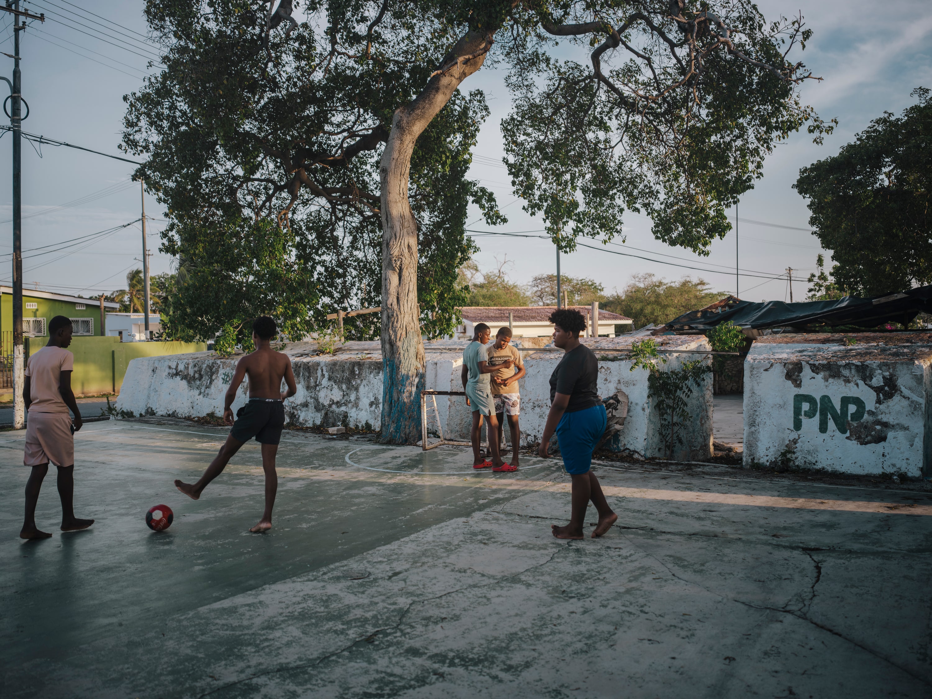 Small Island, Big Dreams - Image 19